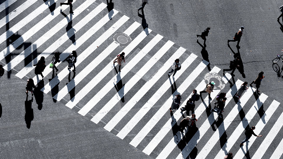 Many pedestrians walking across a striped crosswalk