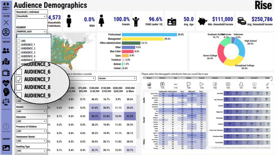 A screenshot of Rise's Audience Profiler and data stack